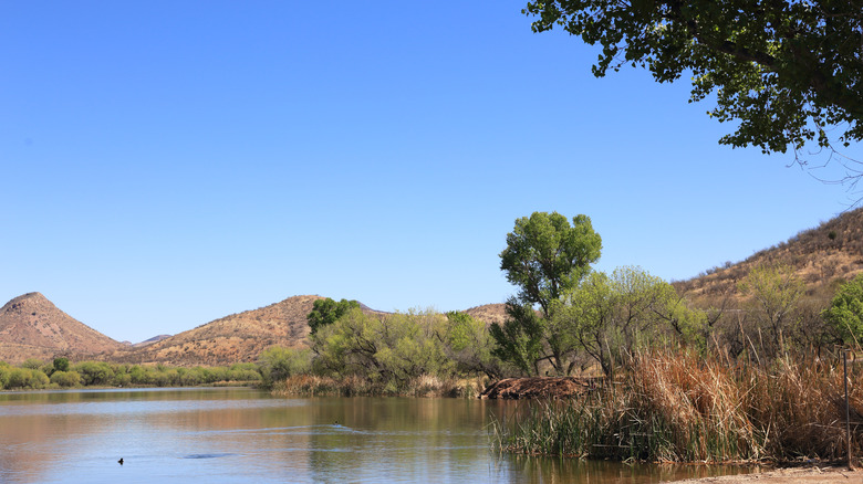 Lake in a desert setting