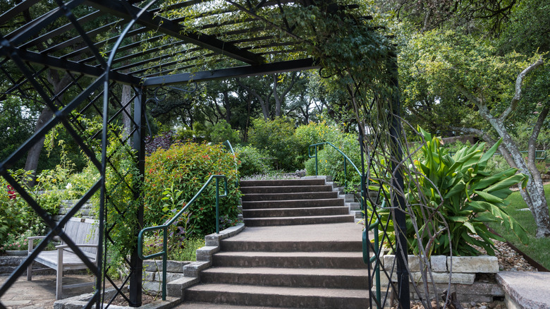 Gazebo and stairs in the Rose Garden of Zilker Botanical Gardens in downtown Austin, Texas