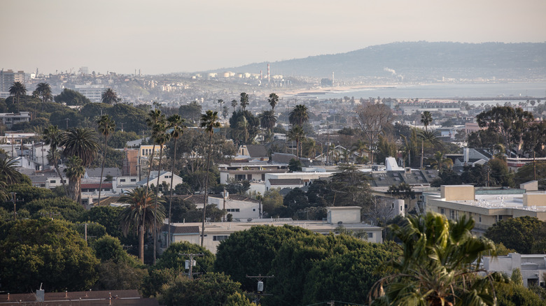 aerial view of Santa Monica downtown