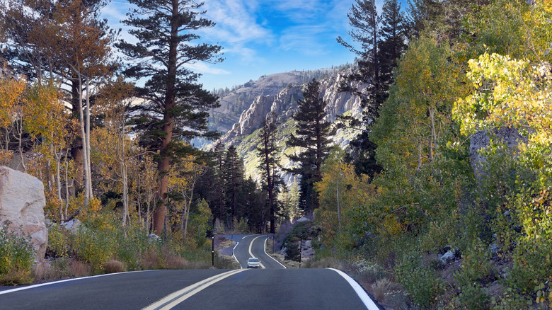 The drive to Sonora