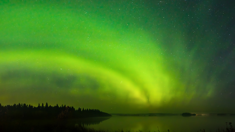 the aurora borealis at elk island national park