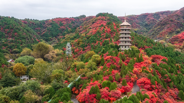 One Of China s Most Famous Sacred Mountains Is Full Of Natural Beauty 