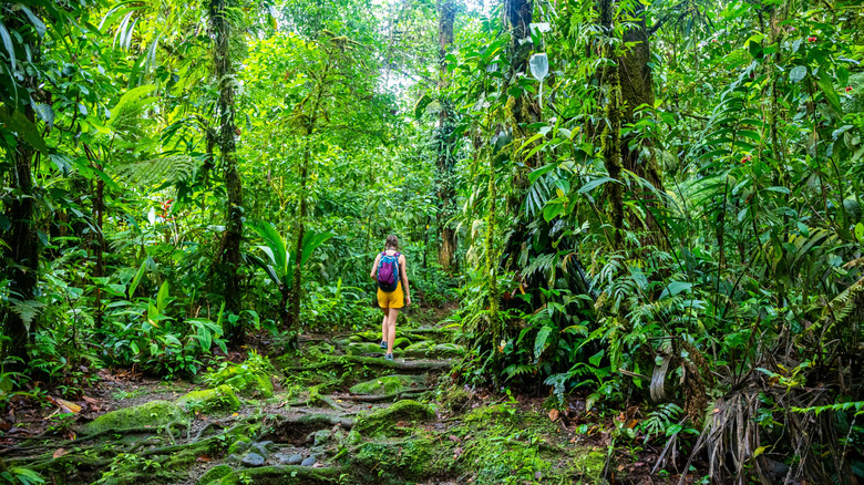 Woman walking through the lush rainforests of Costa Rica
