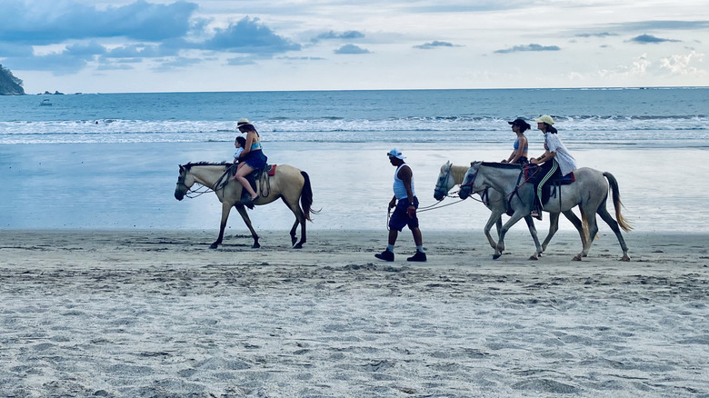Travelers taking a horseback tour along the beach of Samara