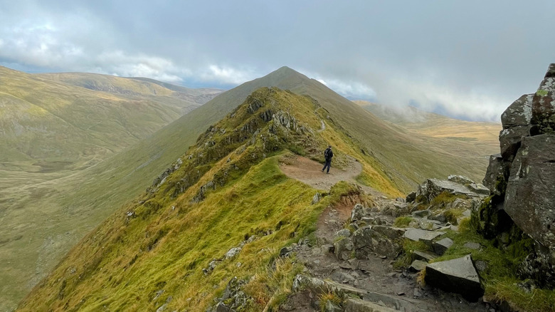 person walking on grassy ridge in mountains