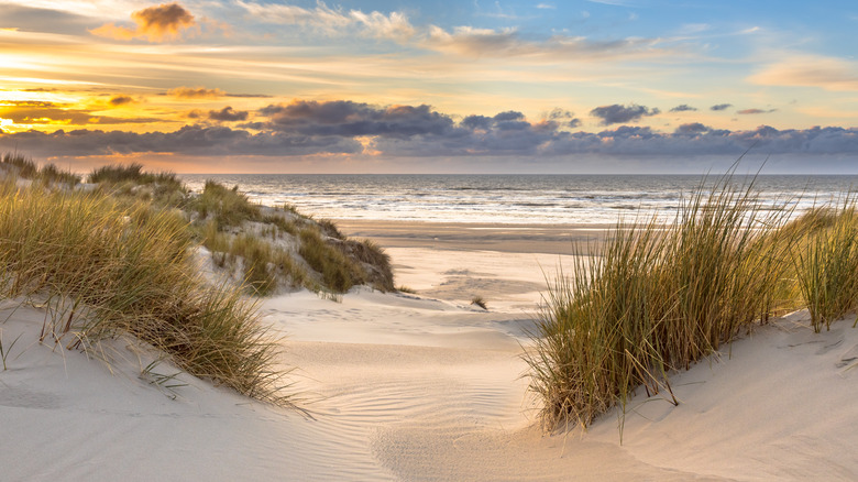 ocean view from dunes with white sand and beach grasses