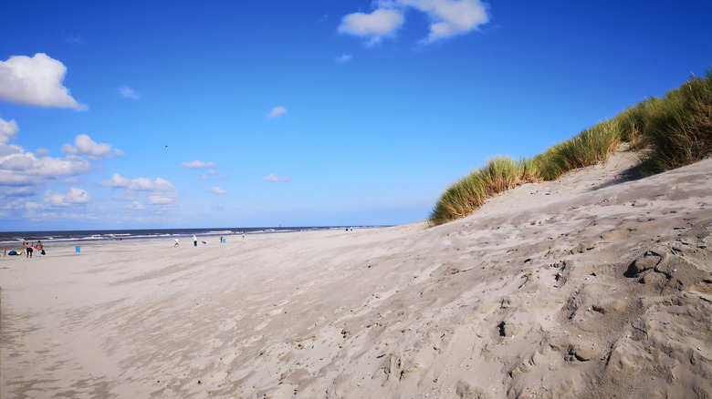 white sand beach with people in distance