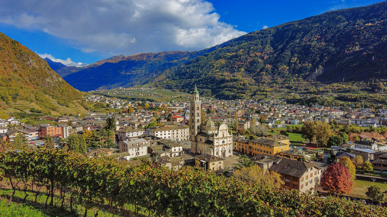 Italian city Tirano with its landmark Basilica Madonna di Tirano, viewed from vineyard over the high hills