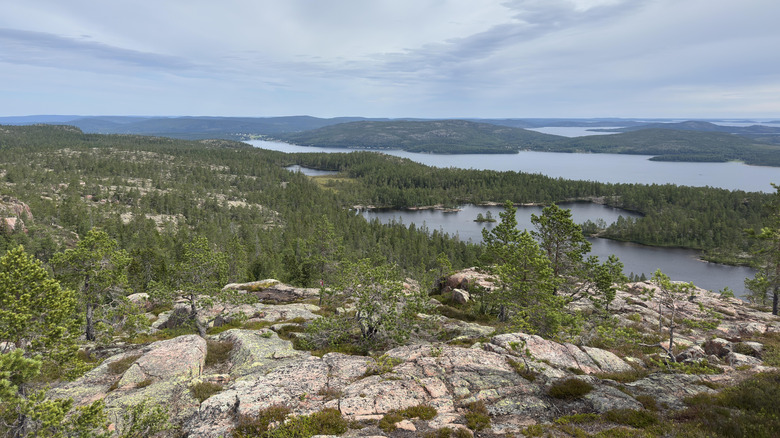 A rocky landscape, forest and lakes in Sweden's Skuleskogen National Park