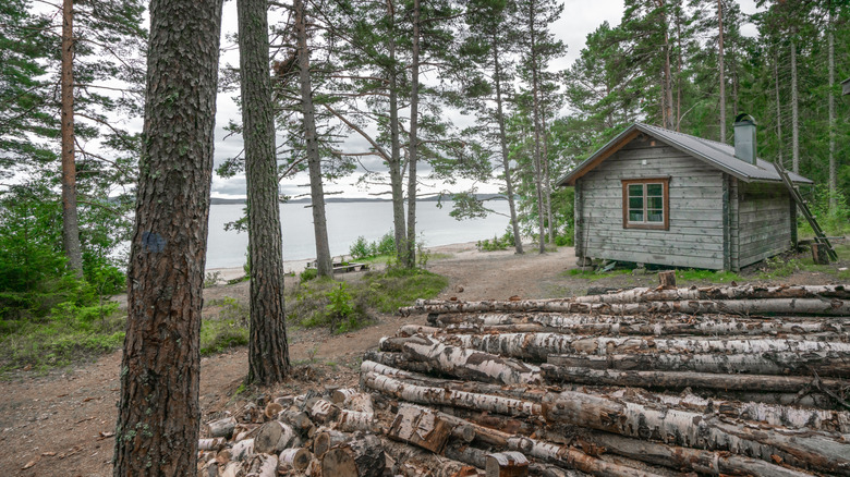 A cabin among trees in Skuleskogen National Park in Sweden