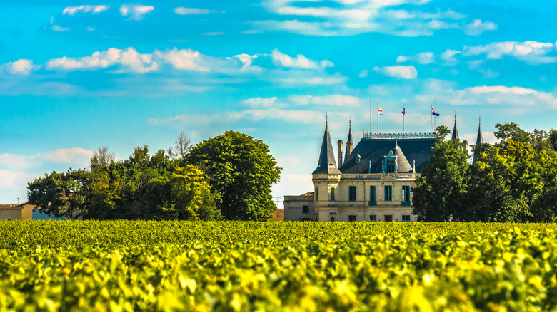 beautiful chateau surrounded by vineyards
