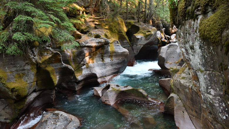 Creek carving through rocks along Glacier National Park's Avalanche Lake Trail