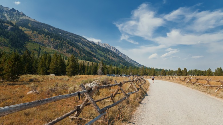 Person walking gravel road toward Lupine Meadows Trailhead at Grand Teton National Park