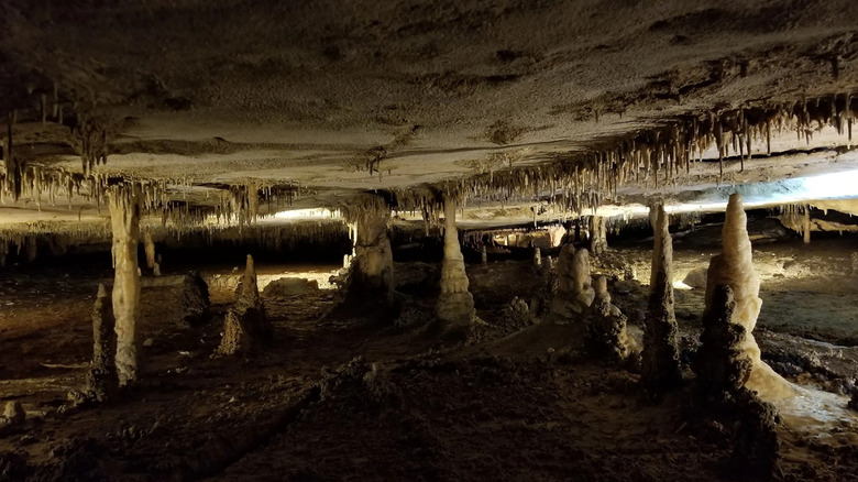 The formations inside Wyandotte Cave.