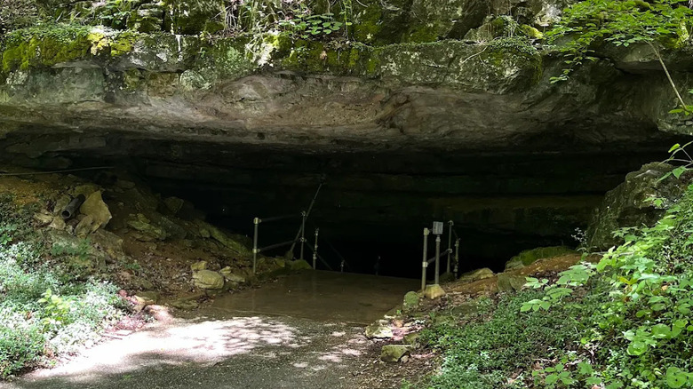 The entrance to Wyandotte Cave.