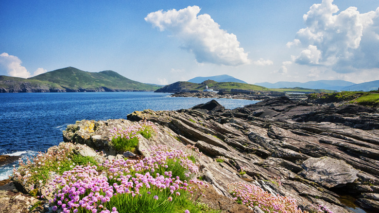 Valentia Island, Ireland landscape