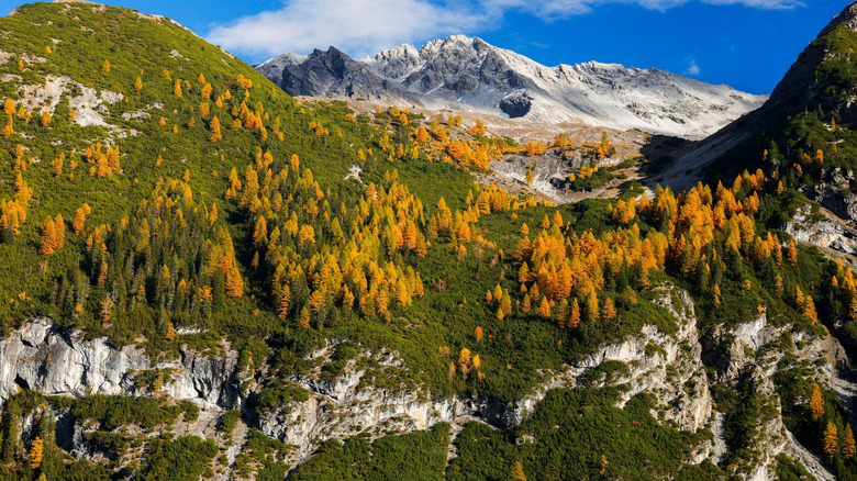 Aerial view of the Alps near Stelvio Pass