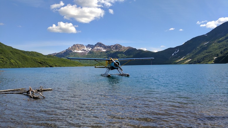 float plane landing in mountain-surrounded lake at Wood-Tikchik State Park