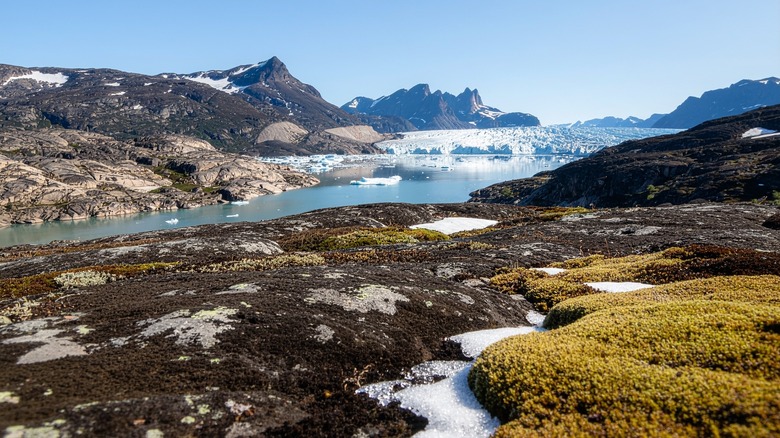 the glaciers, mountains and lichen filled valleys of Quttinirpaaq National Park Canada