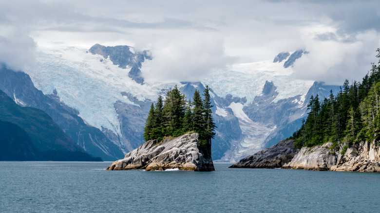 rocky islands with pine trees in Resurrection Bay, with views of glaciers in Kenai Fjords National Park