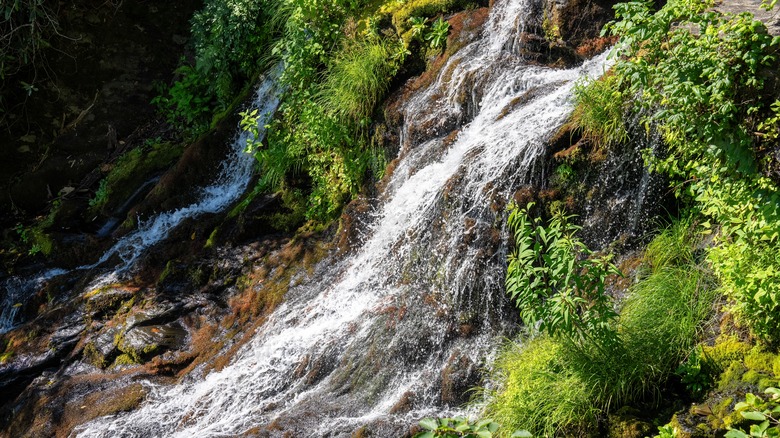 Catawba Falls cascading over rocks