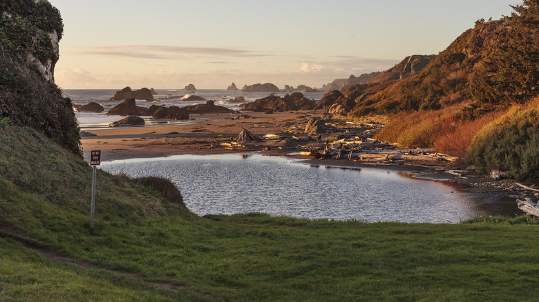 sunset view of harris beach state park, oregon