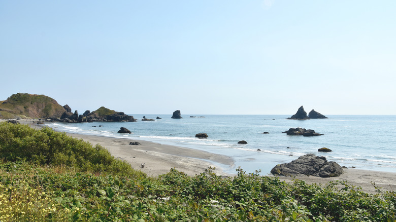 beautiful view of harris beach state park, oregon
