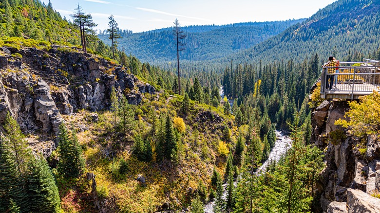 pair overlooking a river in Oregon