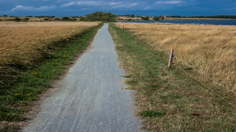 A thin path through a meadow with the sea on the right and small houses in the distance