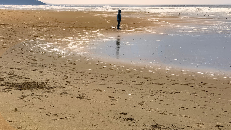 Man standing in sand at Sunset Dunes Park, San Francisco