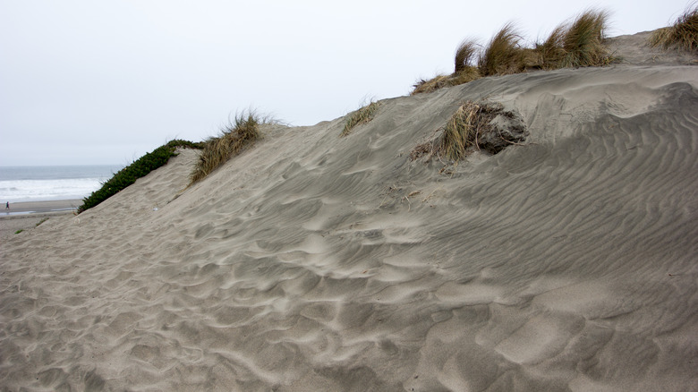 Beautiful view of sand at Sunset Dunes Park, San Francisco