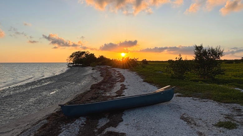 Canoe on a remote beach in the Everglades