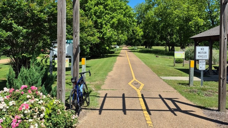 Paved path leading through green trees with bike propped up
