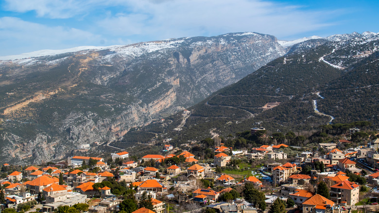 Aerial of Douma Village, Lebanon