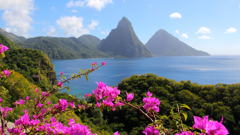 Piton mountains in St. Lucia