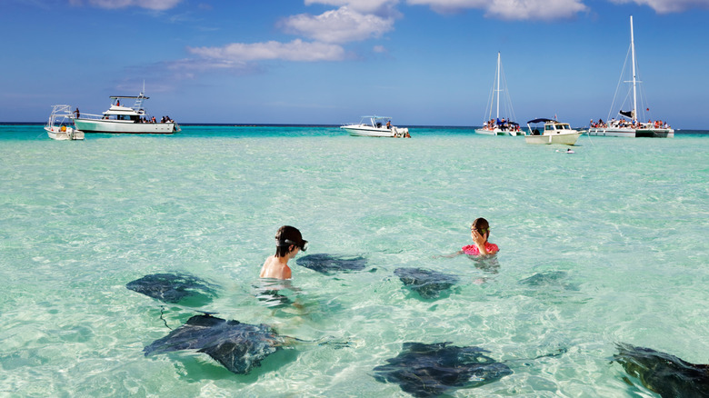 Children enjoy playing with the stingrays at the sandbar off Grand Cayman