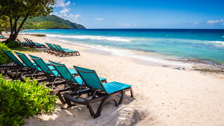 white-sand beach on St. Croix with rows of loungers and tree