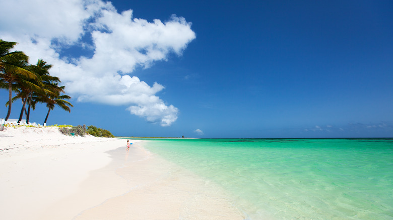 Child on beach, Anegada Island