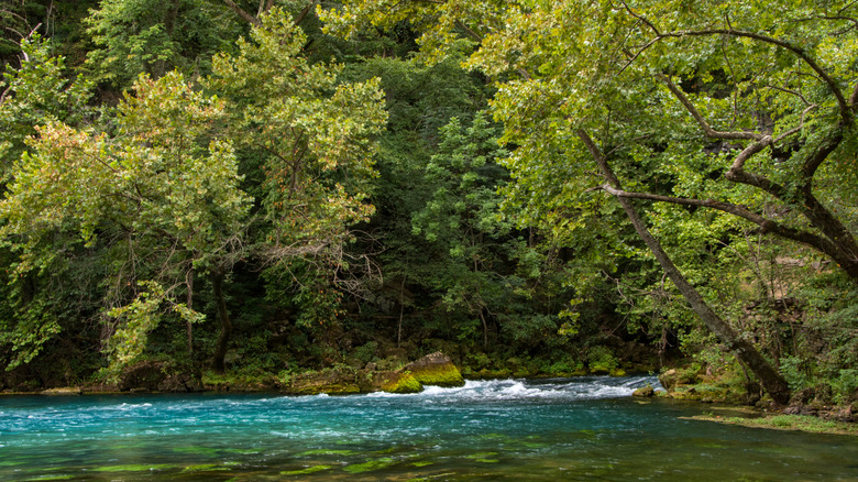 Trees surrounding the blue waters of Big Spring in Missouri's Ozark National Scenic Riverways