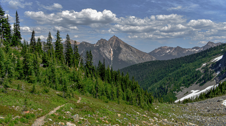 Hiking trail through forested mountains