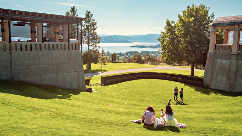 Mission Hill Winery Terrace