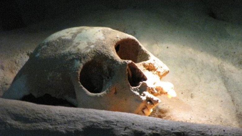 Skull of a human sacrifice