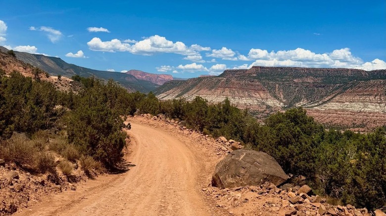 A dirt road through rocky Utah landscape.