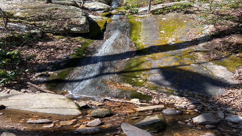 Blue suck waterfall, Douthat State Park, VA