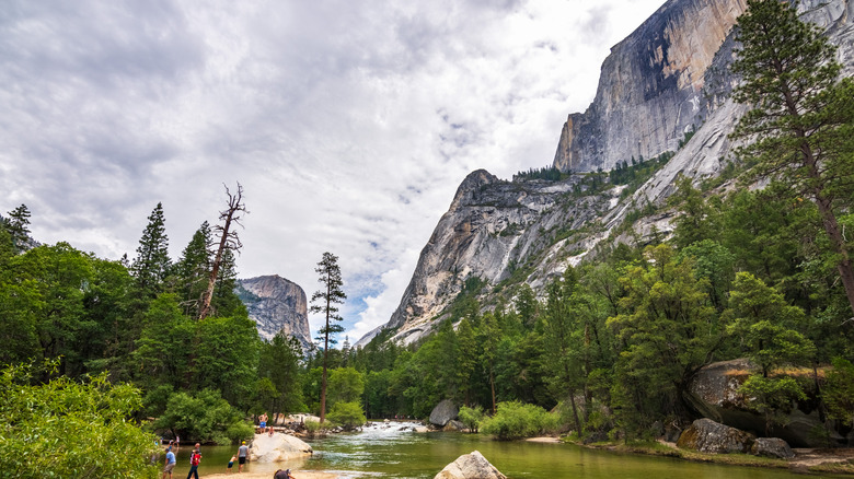 evergreens and shallow lake next to a tall mountainside