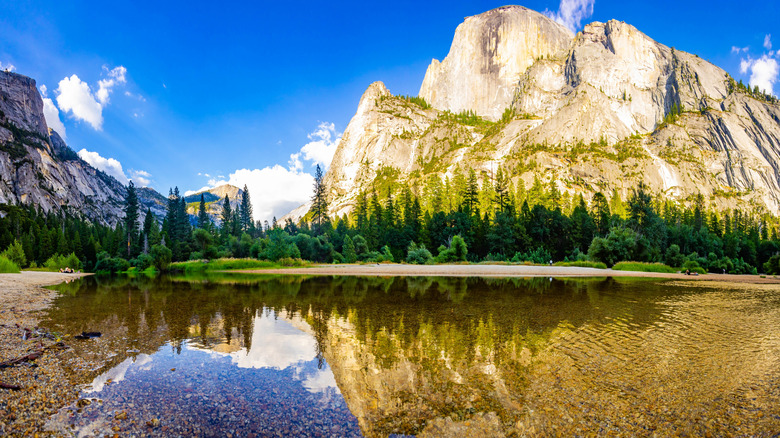 tall mountains reflecting in shallow water, evergreen trees, blue sky