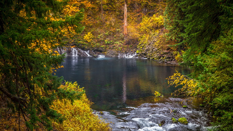 Autumn foliage surrounding a pool in Oregon