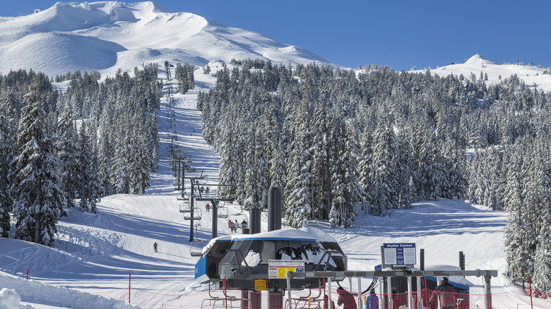 Mt. Bachelor covered in snow and trees with the Skyliner chairlift at the bottom.