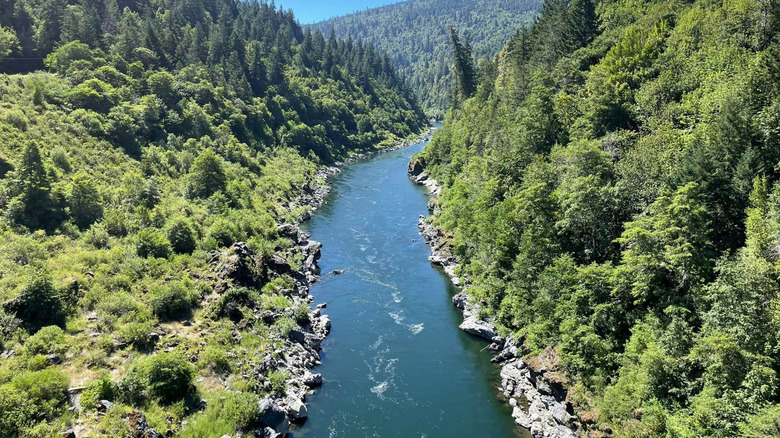Klamath river flows on a beautiful sunny day