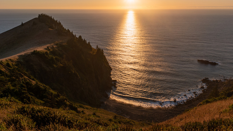 Looking down steep cliffs into a hidden cove on Cascade Head